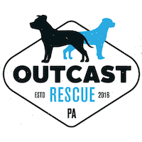 OutcastRescue_Logo_Small_BLUE-300x300
